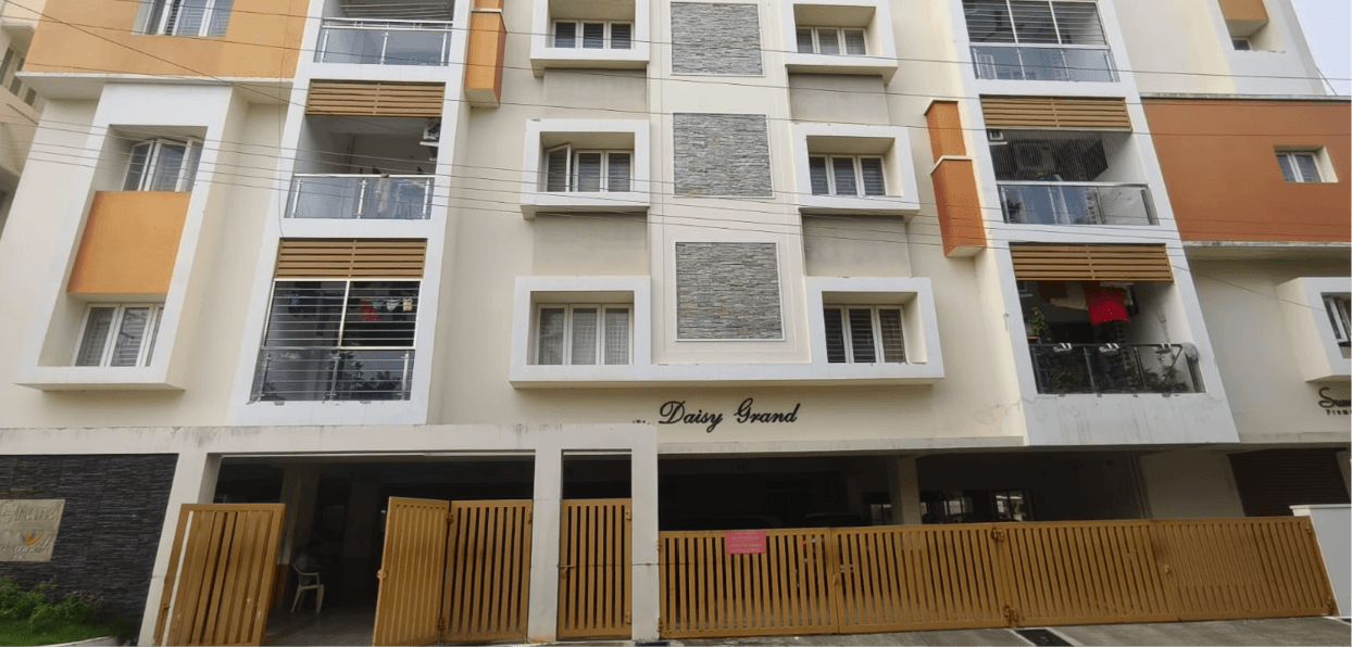 Daisy Grand Main View